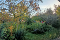IMG20241023091957