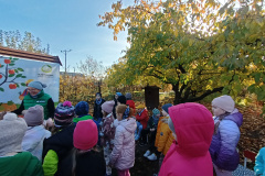 IMG20241023095028