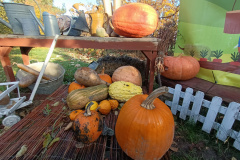 IMG20241023095251
