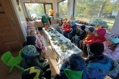 IMG20241023095412