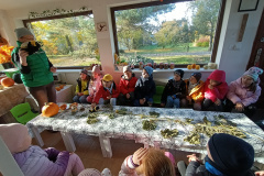 IMG20241023095530
