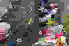Messenger_creation_03A96CEB-3F2B-4146-8167-9F77DA514F2A