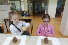 IMG20230516100229