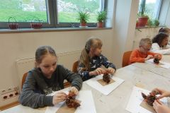 IMG20230516102755