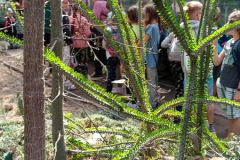 IMG_20220603_104351