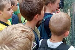 IMG_20220603_104511