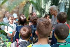 IMG_20220603_105250