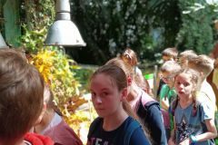 IMG_20220603_110050