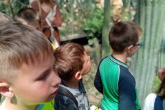 IMG_20220603_110205