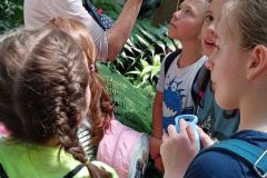 IMG_20220603_110425