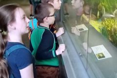 IMG_20220603_110715