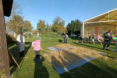 IMG20241016101253