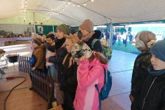 IMG20241016111242