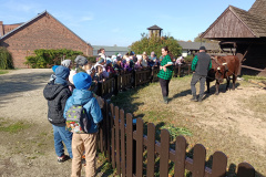 IMG20241016124211