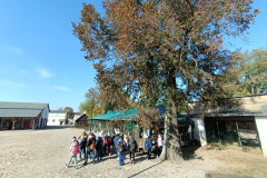 IMG20241016130641