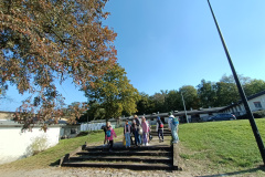IMG20241016130657