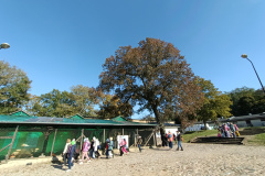IMG20241016130729
