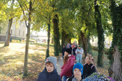 IMG20241016131646