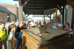 IMG20231003101227
