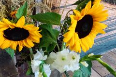 IMG20231003111651