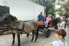 IMG20231003114133