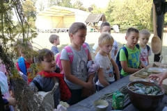 3a i 3b w Szreniawie 20.09.2018