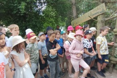 IMG20230612103512