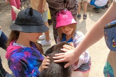 IMG20230612104214