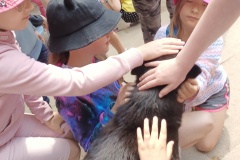 IMG20230612104215