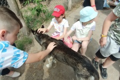 IMG20230612104406