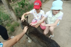 IMG20230612104410