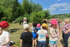 IMG20230612110945