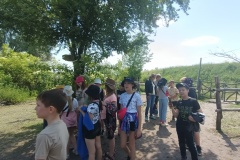 IMG20230612114216