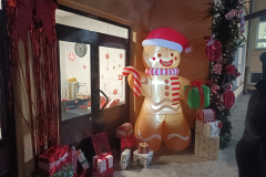 IMG_20241205_162810_954
