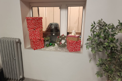 IMG_20241205_162818_216