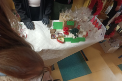IMG_20241205_164709_749