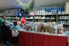 IMG20231215104032