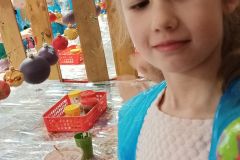 IMG20231215111613