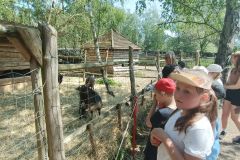 IMG20230605112922