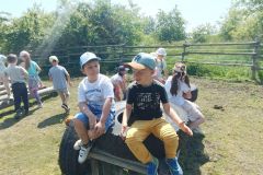IMG20230605115050