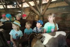 IMG20230605123240