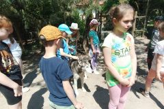IMG20230605124232