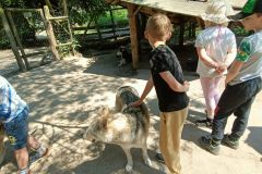 IMG20230605124259