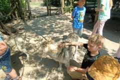 IMG20230605124316