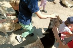 IMG20230605124322