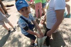 IMG20230605124400