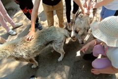 IMG20230605124422