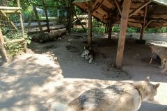 IMG20230605124515