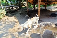 IMG20230605124519