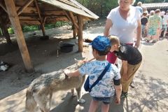 IMG20230605124522